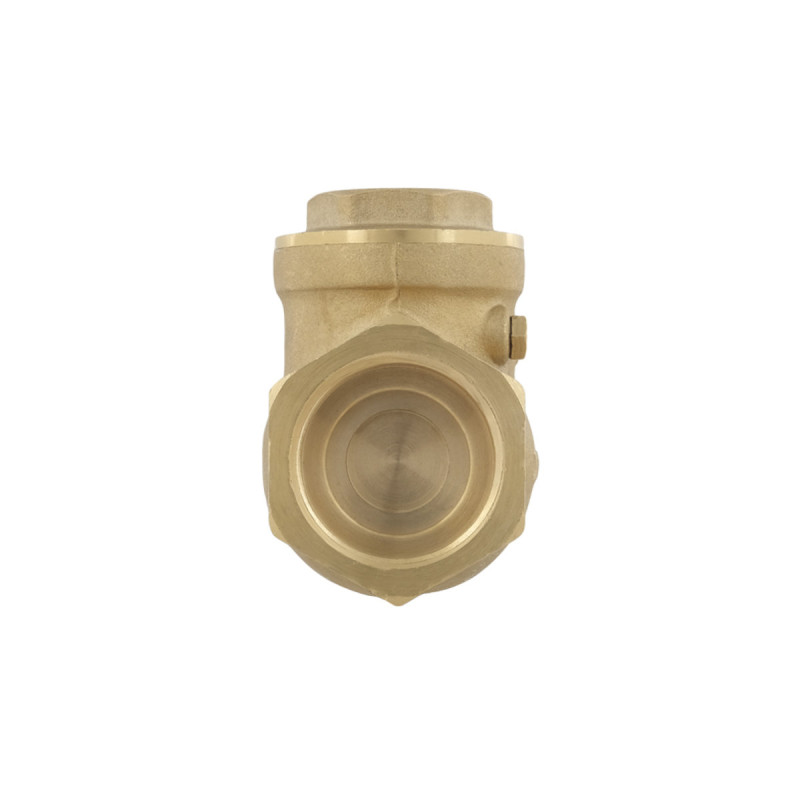 Raftec Зворотний клапан пелюстковий ВВ 1" PSWNV03