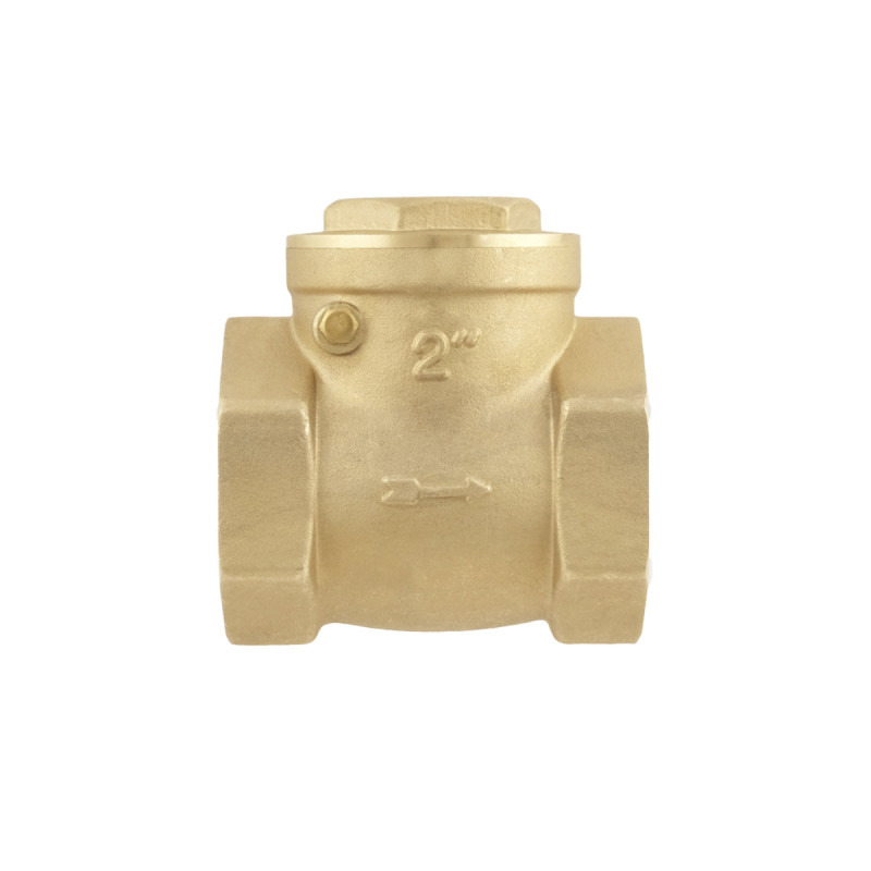 Raftec Зворотний клапан пелюстковий ВВ 2"