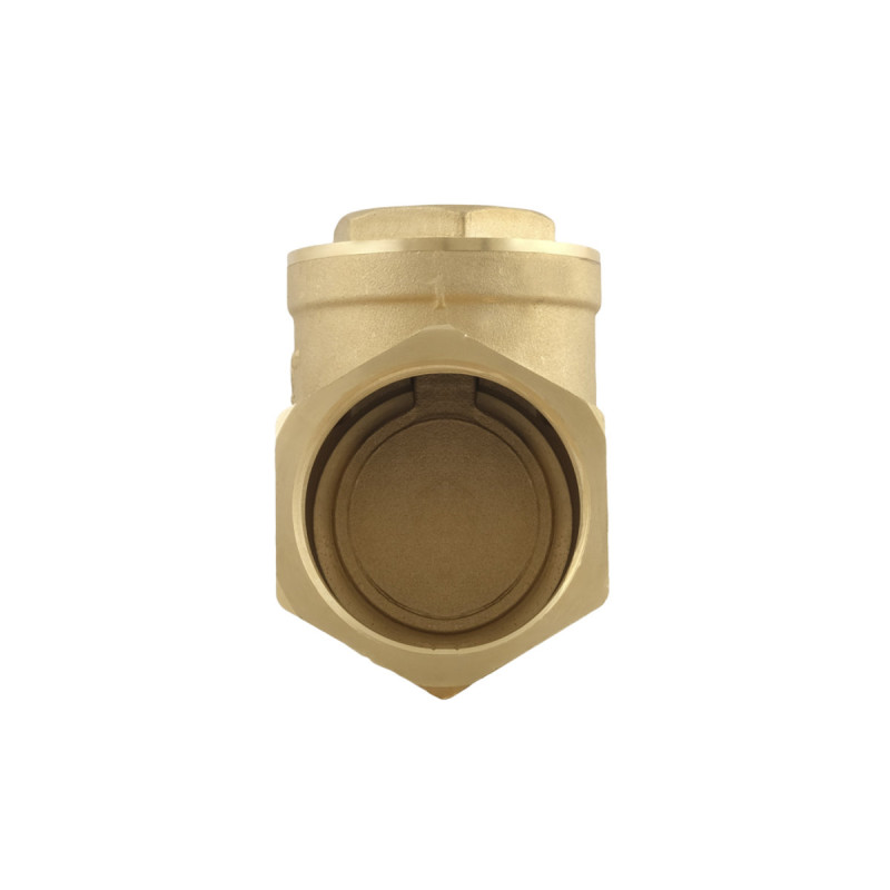 Raftec Зворотний клапан пелюстковий ВВ 2"