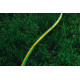 2E Шланг садовий AquaFlex Green 1/2" 20м 3 шари 10бар -5+50°C (2E-GHE12GN20)
