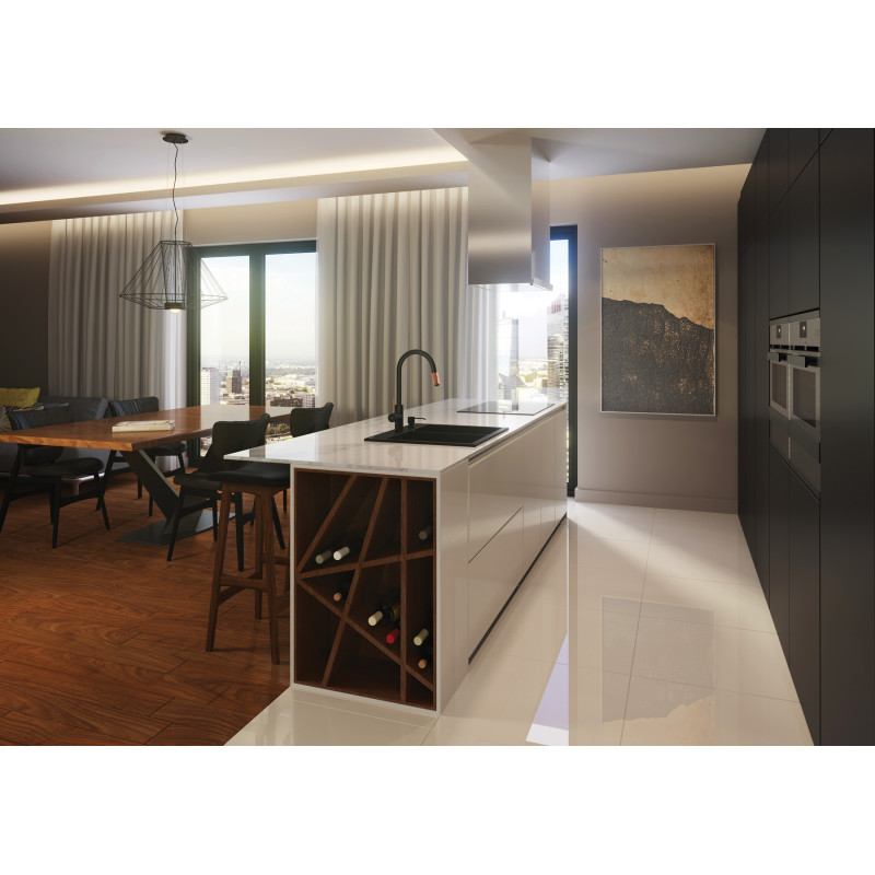 Deante Змішувач для кухні Aster, довж.виливу - 206мм, поворотний, 1+фільтр, чорний-мідь (BCA_B64M)