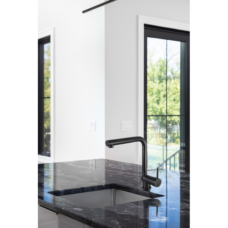 Deante Змішувач для кухні Aster, довж.виливу - 209мм, витяжний, 1важіль, чорний (BCA_N73M)