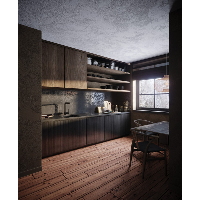 Deante Змішувач для кухні Aster, довж.виливу - 209мм, витяжний, 1важіль, чорний (BCA_N73M)