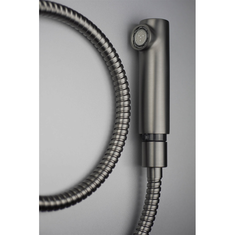 Deante SILIA Смеситель для кухни, с выдвижным носиком (BQS_D73M)