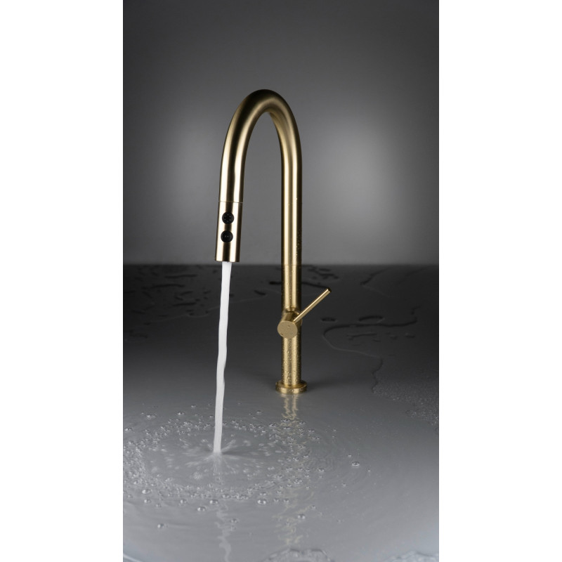 Deante Набір для кухні Olfato стальна мийка ZPO_R10A + зміш. BQO_R72M, брашоване золото (ZPOER10A)