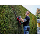 Einhell Акумуляторний кущоріз GE-CH 36/65 Li-Solo, без акб (3410960)
