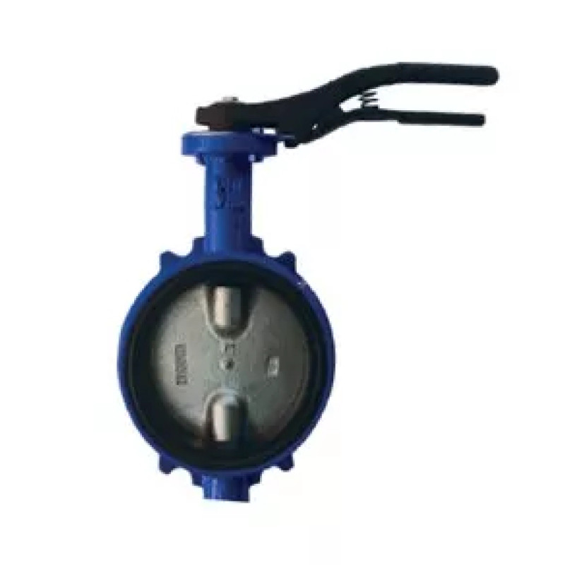 Giacomini Затвор дисковий поворотний PN16, DN50 (диск з н/ж сталі) (R59WY005)