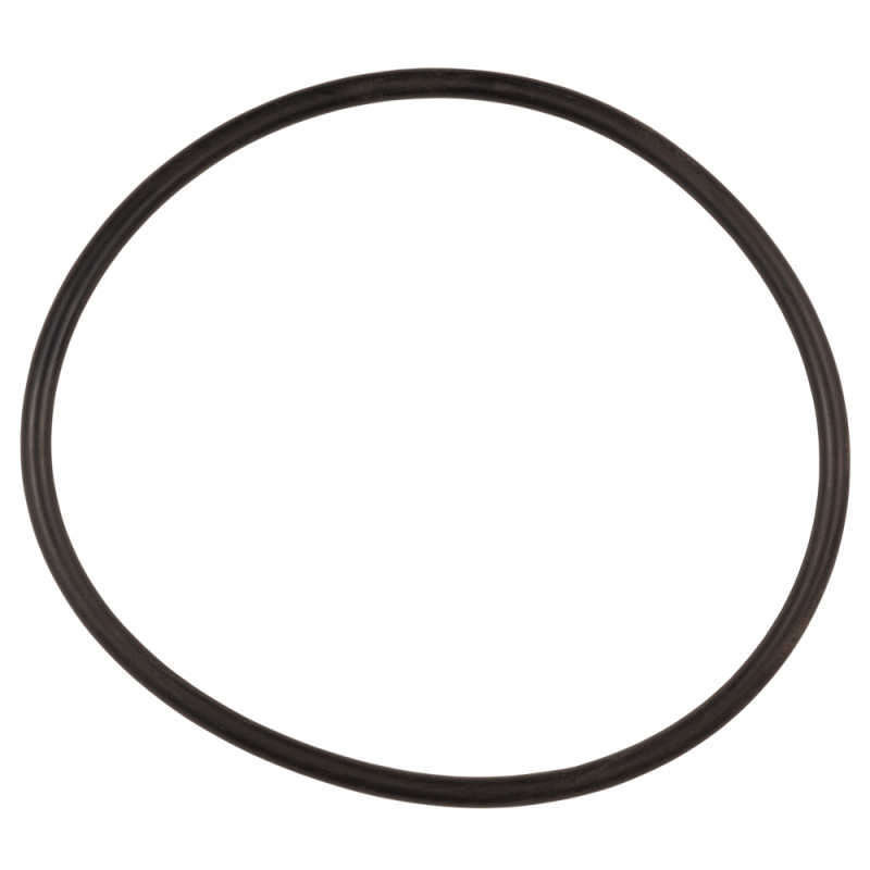 Aquatica Кільцеве ущільнення електродвигуна (нижнє) для 773231 (75×3,1) (773231041)