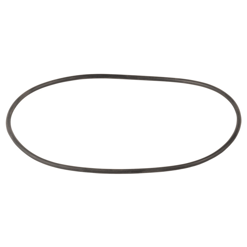 Aquatica Кільцеве ущільнення для 772537 (125×3.65) (772537010)