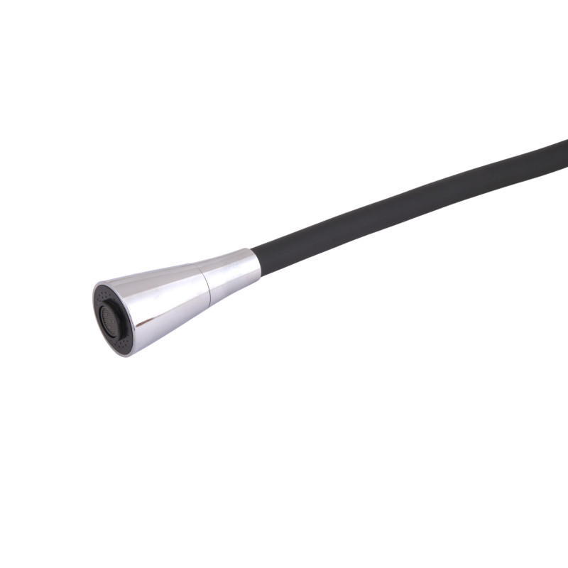 Lidz Змішувач для кухні Tani 007F3 з гнучким виливом (k40) LDTAN007F3BCR37649 Black / Chrome