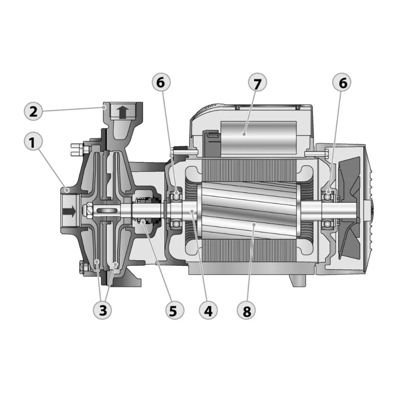 PEDROLLO Відцентровий насос CP 160C 44CT26CA