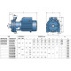 PEDROLLO Відцентровий насос 2CP 40 / 180C 452CT383CA