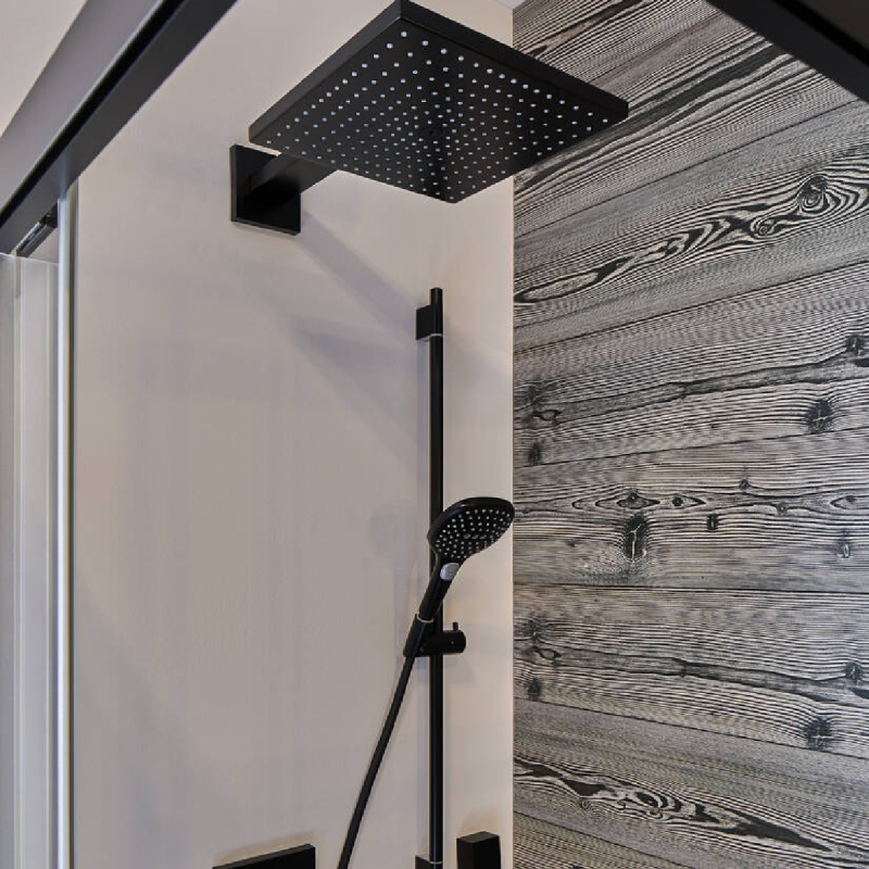 Hansgrohe Raindance Select E Ручной душ 120 3jet, цвет покрытия матовый черный, (26520670)