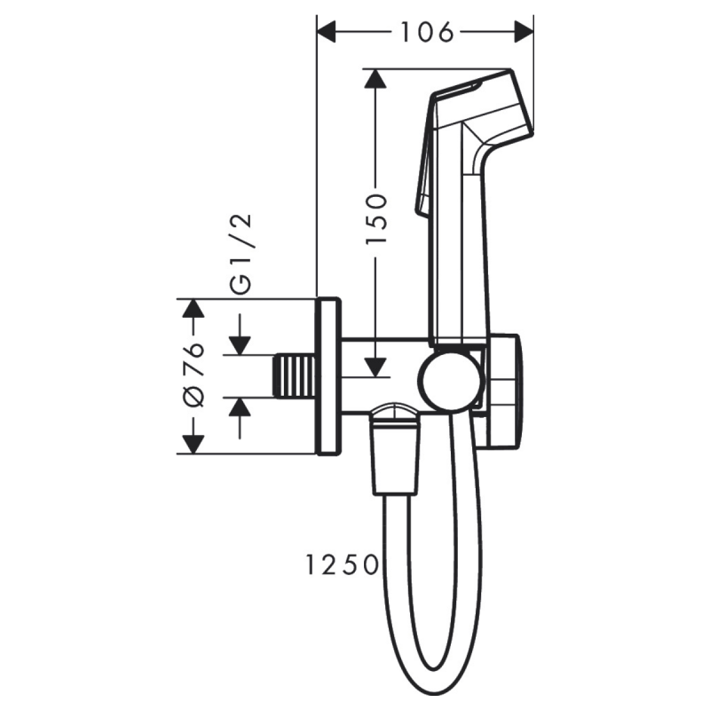 Hansgrohe S гигиенический душ, со шлангом 1,25 м и держателем, цвет полированное золото, (29232990)