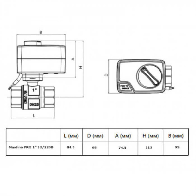 Mastino Кран с электроприводом 220В 1 (006307)