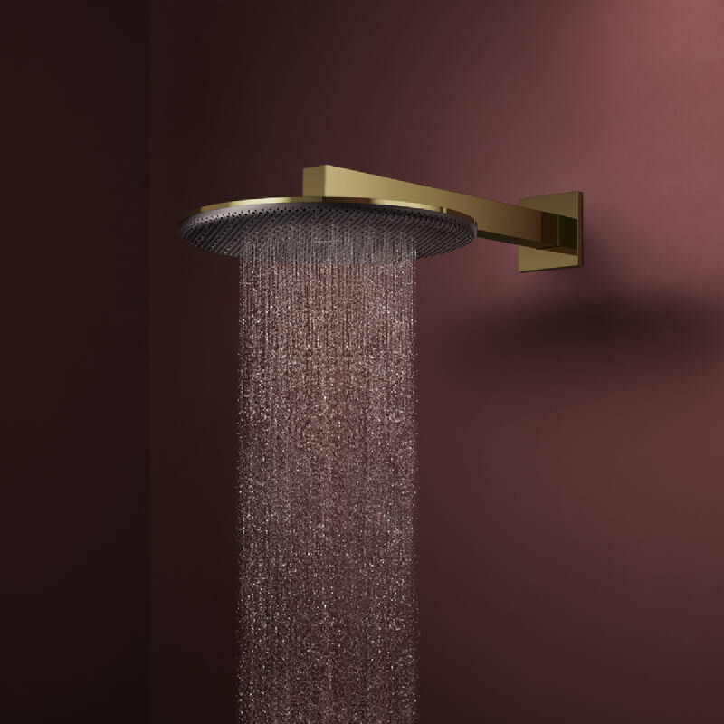 Hansgrohe RAINDANCE ALIVE S верхній душ 300мм, 1 режим, колір полірованне золото, (24520990)
