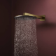 Hansgrohe RAINDANCE ALIVE S верхній душ 300мм, 1 режим, колір полірованне золото, (24520990)