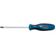 BOSCH Викрутка , PZ2x125мм (1600A01V08)