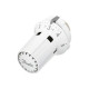 Danfoss Термостат. елемент RAW-K 5030, RAL 9016 (013G5030)