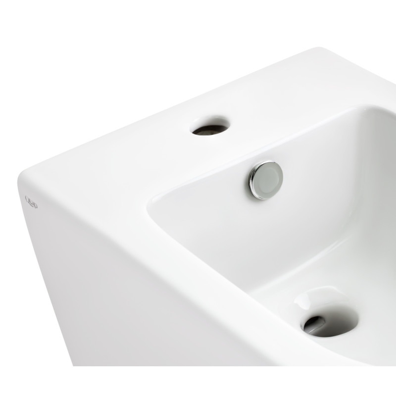 Qtap Підвісне біде Tern 485x345x330 White (QT1755052FW)