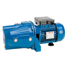 Speroni Насос поверхневий CAM 40 HL (101155450)