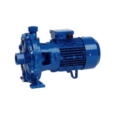 Speroni Відцентровий поверхневий насос 2C 32/210C (101080840)